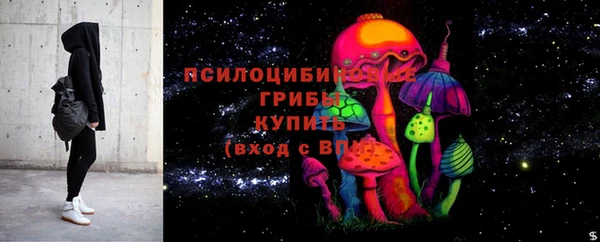 СК Алексеевка