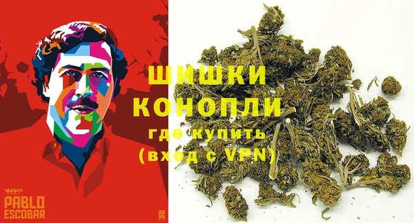 шишки Нея