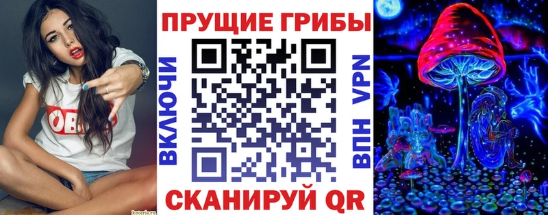 Галлюциногенные грибы Cubensis  купить закладку  Юрьев-Польский 