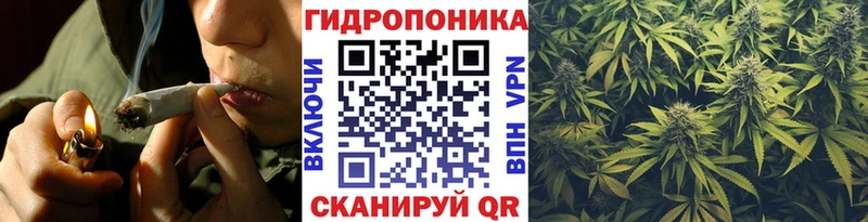 гидра ТОР Юрьев-Польский Шишки марихуана THC 21%